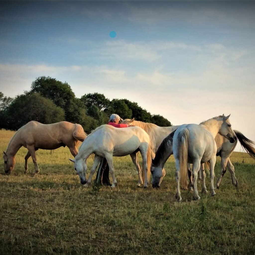 IMG_20230603_112850_179